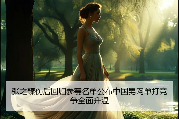 张之臻伤后回归参赛名单公布中国男网单打竞争全面升温